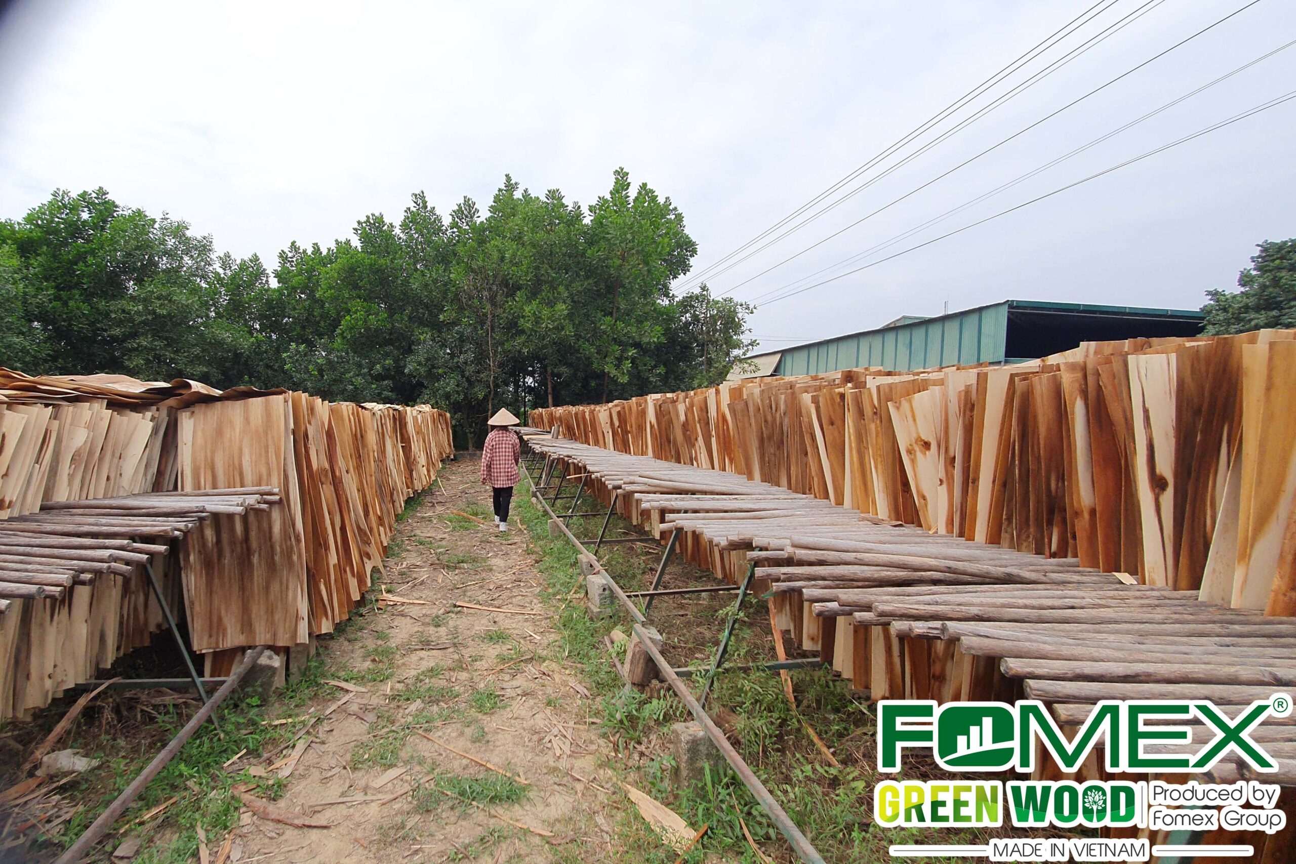 EUDR Compliance Checklist for Plywood Importers