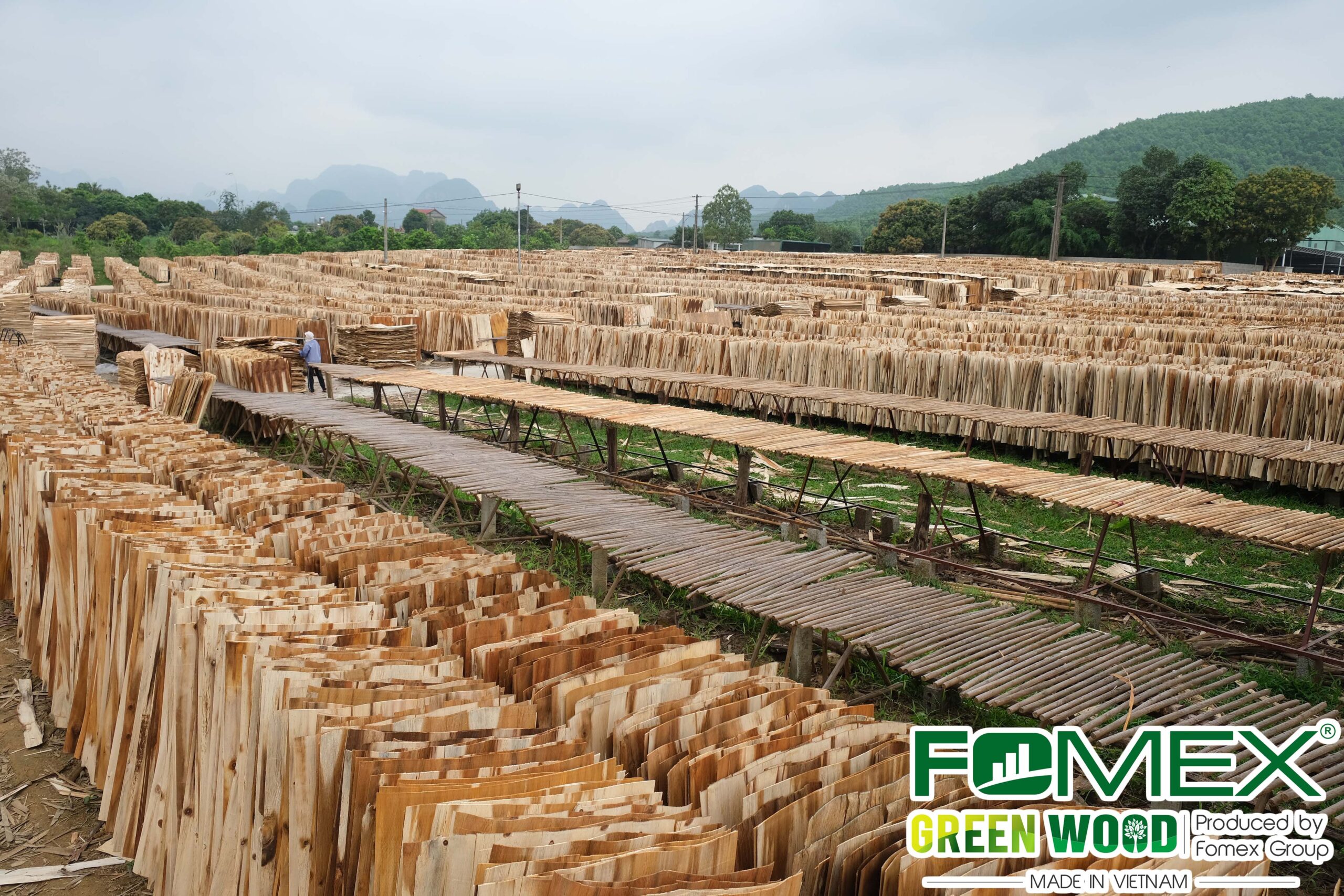 From Core to Finish: Understanding Plywood Grades and Quality Levels