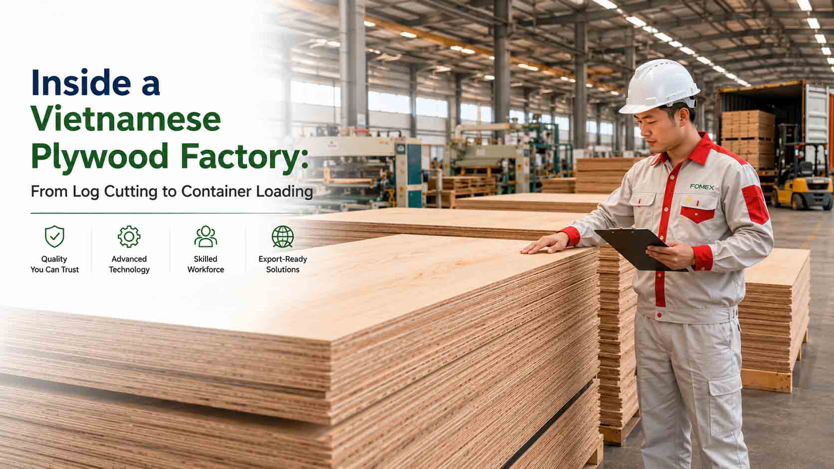 : Inside a Vietnamese Plywood Factory: From Log Cutting to Container Loading